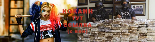 трава Балахна